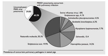 PRRS行业动态全解析 行情走势、企业管理与行业趋势
