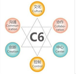 金和C6六脉神剑 助力企业跨越管理黑洞，实现高效运营